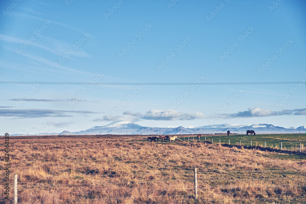beautiful autumn landscape in Iceland beautiful autumn landscape in Iceland