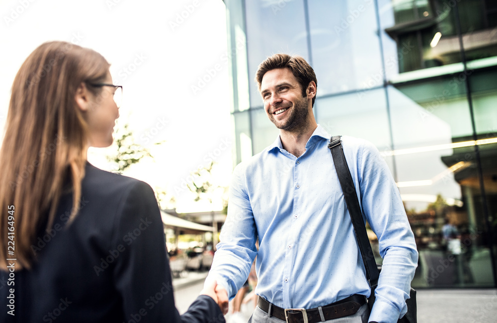 Fototapeta premium A young businessman and businesswoman shaking hands.