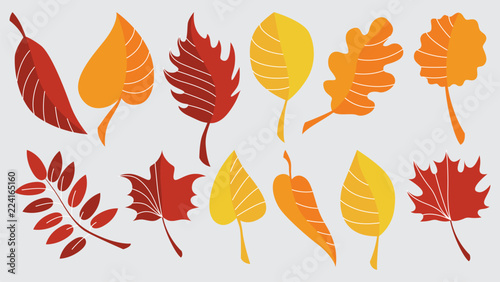 Set of red and yellow autumn leaves