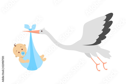White stork flying with a newborn baby