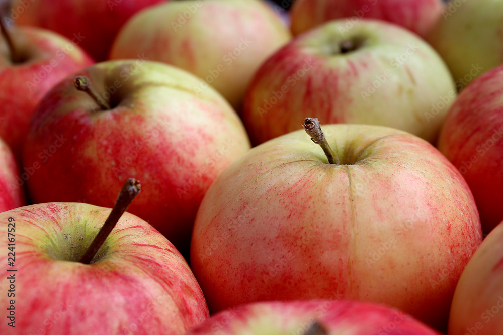 background many apples large juicy ripe autumn background many apples large juicy ripe autumn