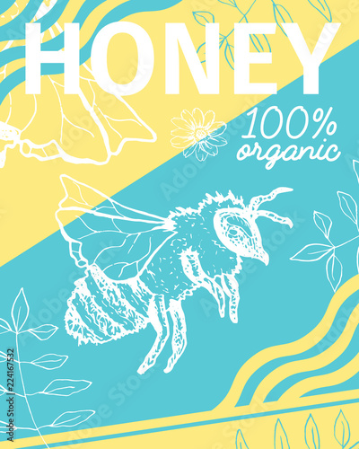 Fototapeta Naklejka Na Ścianę i Meble -  Poster with bee and fresh honey. Sketch honeycomb theme. Brochure cover for healthy nutrition market or shop, store with beeswax. Insects food retail theme