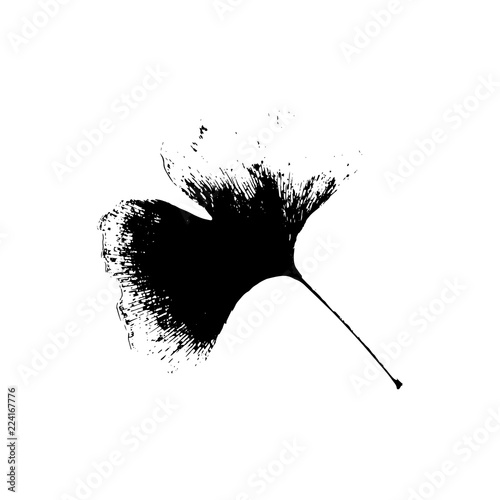 Black silhouette with leaf of tree. Single isolated clipart. Prints of leaves on branch. Flora and nature theme for paper cutting scrapbook design