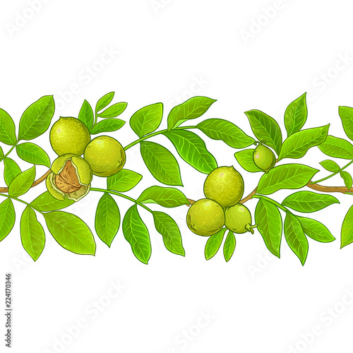 walnut vector pattern