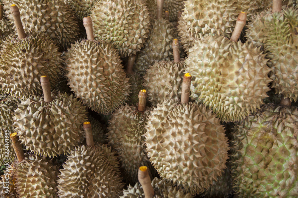 Durian is very famous fruit from Thailand. Durian is very famous fruit from Thailand.