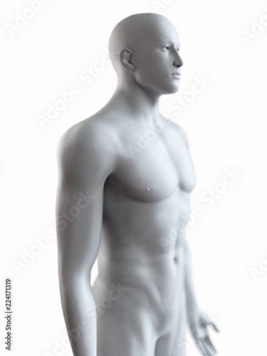 3d rendered medically accurate illustration of a grey male body