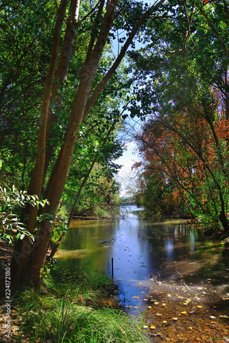 Bullaque River in the natural setting of the Tablas de la Yedra, Piedrabuena, Ciudad Real, Spain. photo