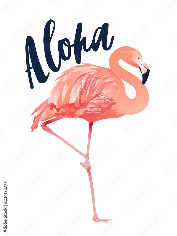 Fototapeta premium Aloha flamingo illustration. Style Isolated on White Background.