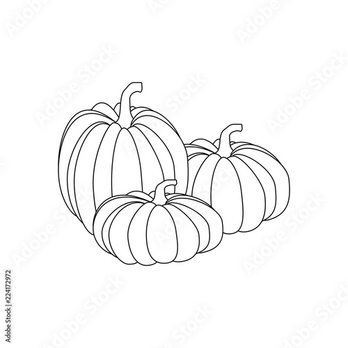 Pumpkin autumn illustration