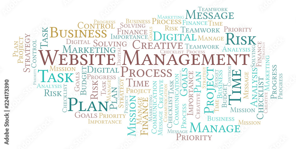 Obraz premium Website Management word cloud, made with text only.