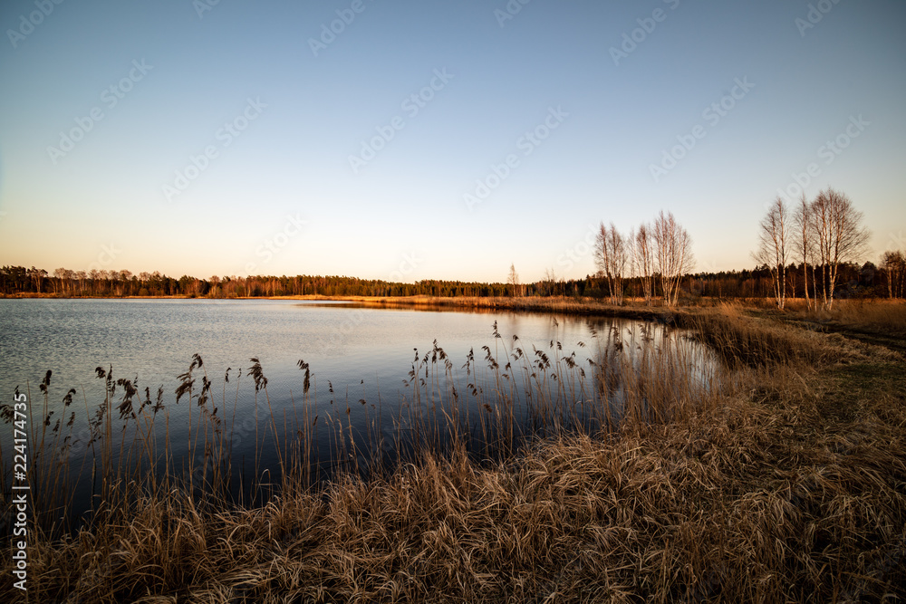lake shore with grass and trees in spring lake shore with grass and trees in spring