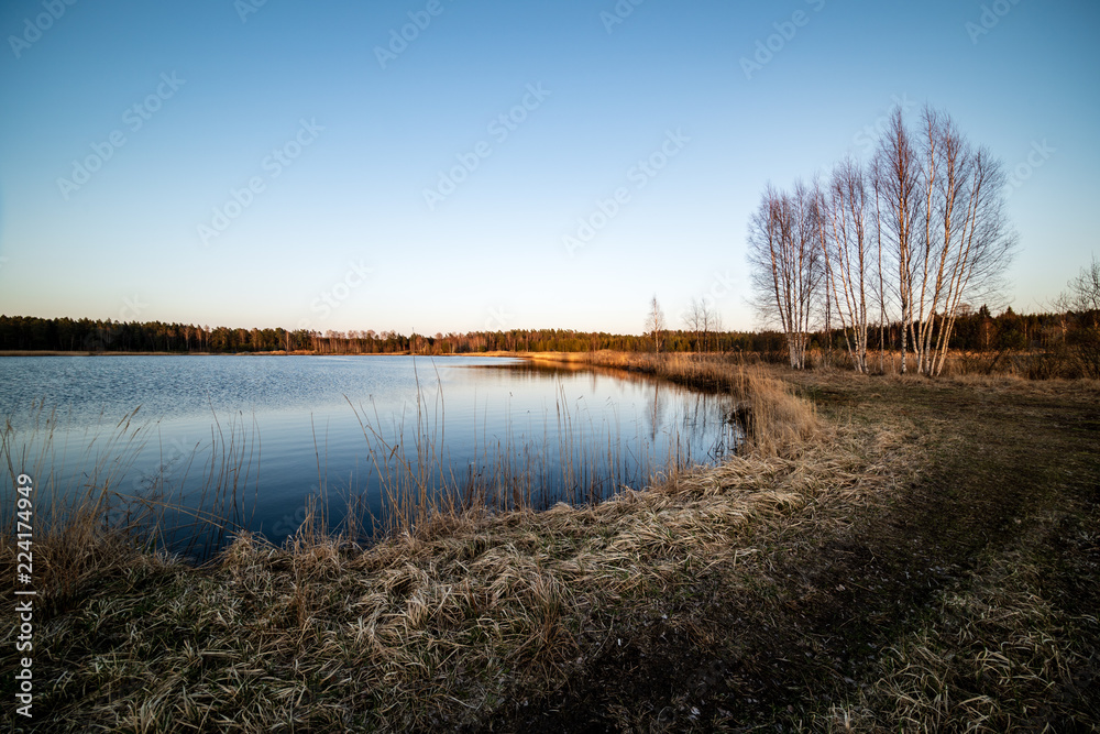 lake shore with grass and trees in spring lake shore with grass and trees in spring