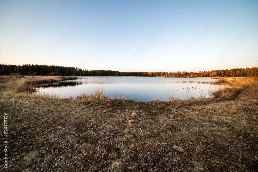 lake shore with grass and trees in spring