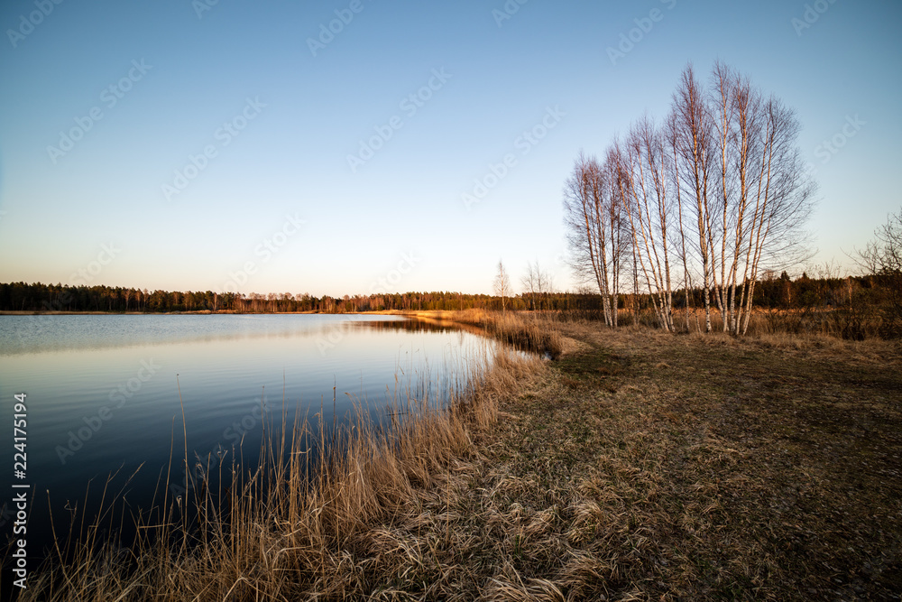 lake shore with grass and trees in spring lake shore with grass and trees in spring