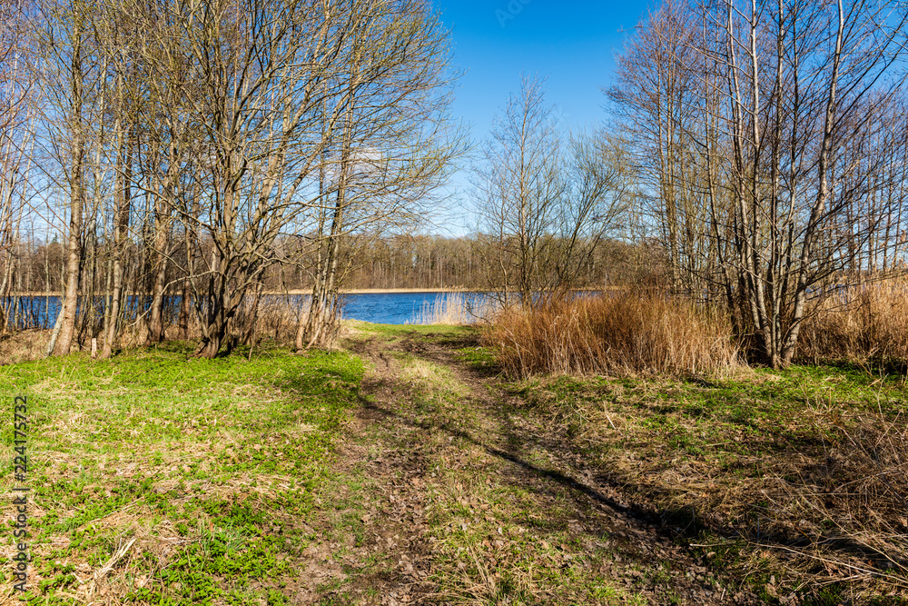 lake shore with grass and trees in spring