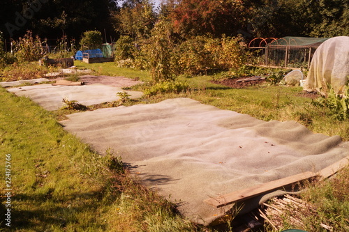 Allotment