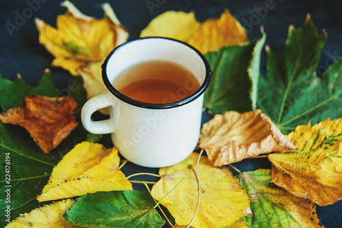 Color of autumn leaves. Fragrant tea with in a mug in a circle of autumn leaves