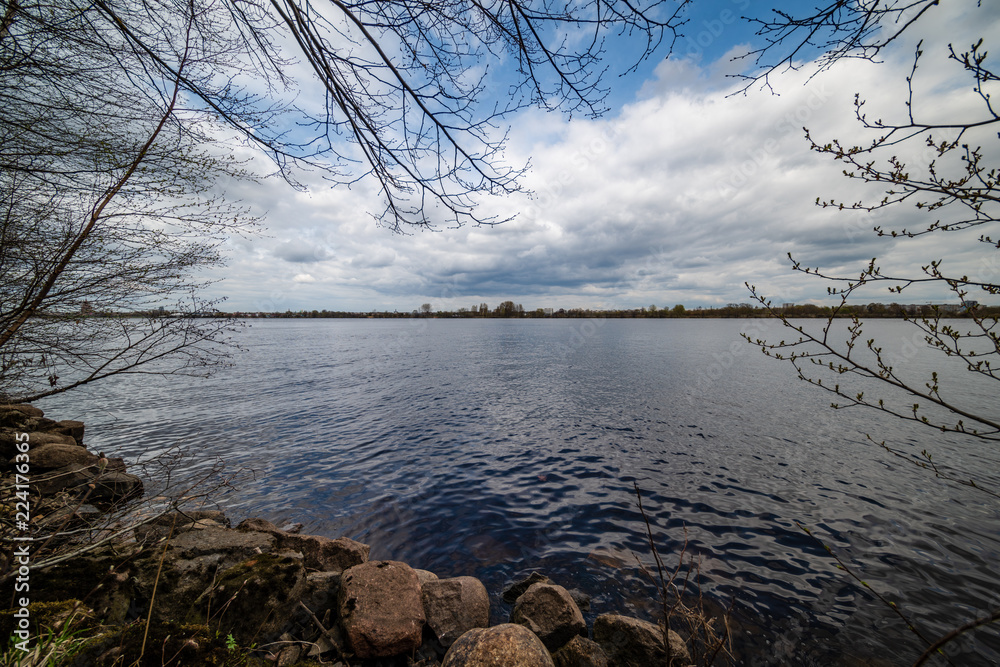 lake shore with grass and trees in spring lake shore with grass and trees in spring