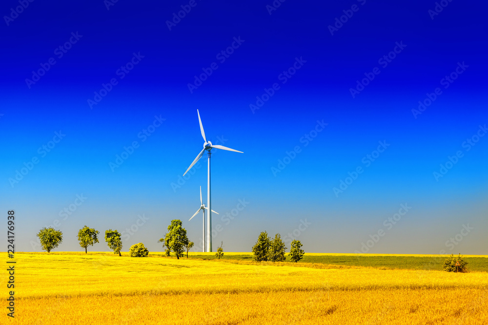 Wind alternative and sustainable energy in the field Wind alternative and sustainable energy in the field