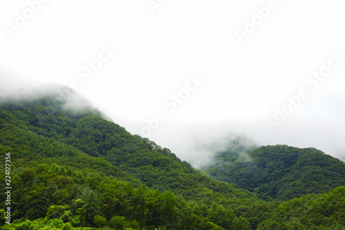 Green mountain and rain cloud for natural background