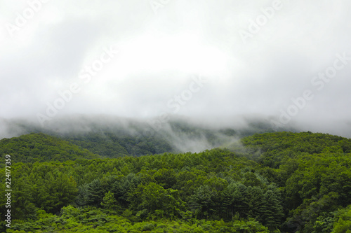 Green mountain and rain cloud for natural background © nitimongkolchai