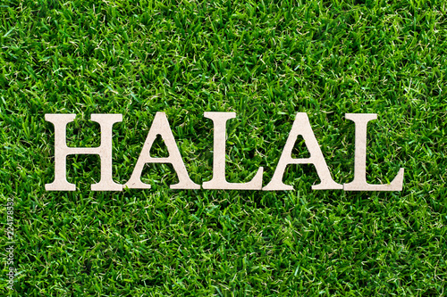 Wood letter in word halal on artificial green grass background photo