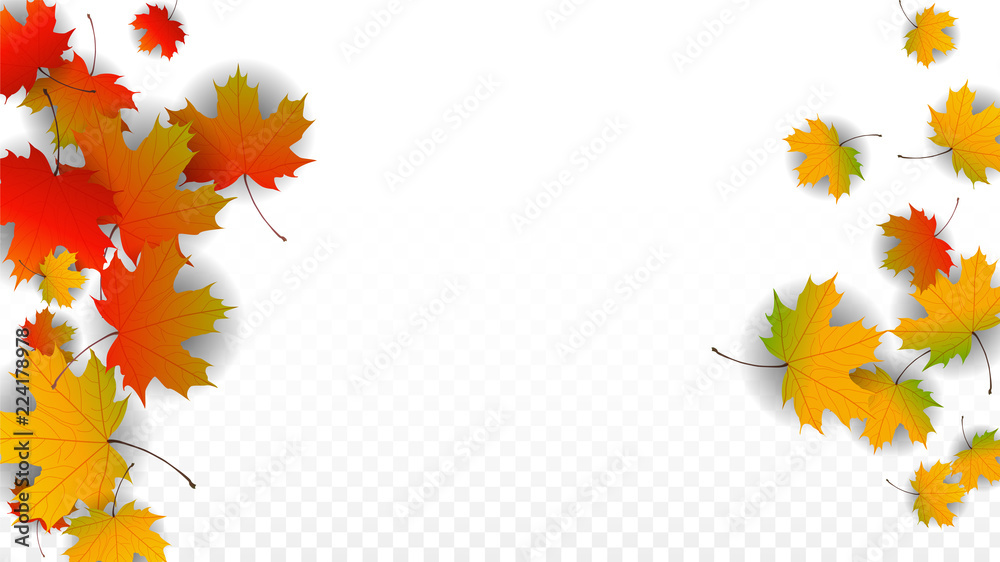 September Vector Background with Golden Falling Leaves. Autumn Illustration with Maple Red, Orange, Yellow Foliage. Isolated Leaf on Transparent Background. Bright Swirl. Suitable for Posters. September Vector Background with Golden Falling Leaves. Autumn Illustration with Maple Red, Orange, Yellow Foliage. Isolated Leaf on Transparent Background. Bright Swirl. Suitable for Posters.
