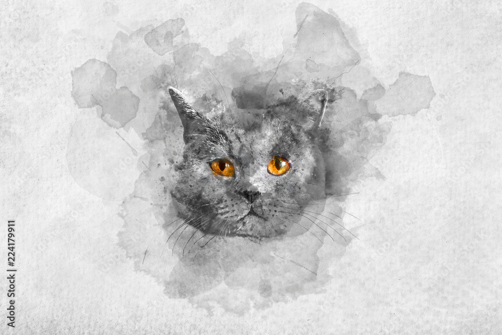 Obraz Śliczny Brytyjski shorthair kota akwareli portret.