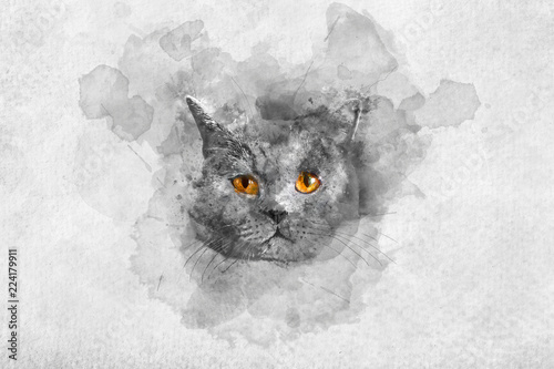 Obraz na płótnie Śliczny Brytyjski shorthair kota akwareli portret.
