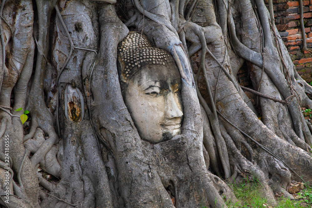 Statue head Buddha in root tree in Wat Mahathat Ayutthaya Thailand