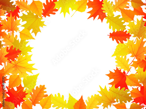 Autumn banner with colorful autumn leaves background with copyspace on the center. Vector illustration for fall season
