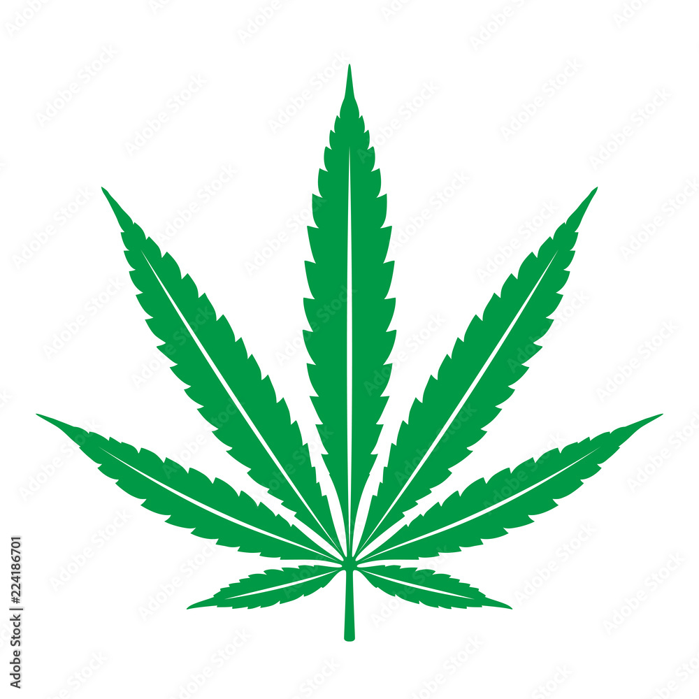 Stockvektorbilden Marijuana vector cannabis leaf weed icon logo clip art  illustration graphic