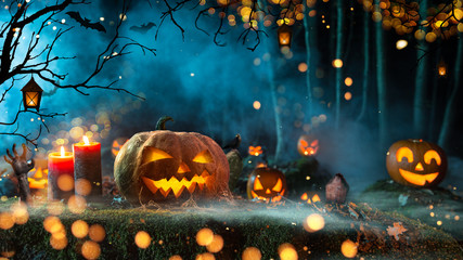 Halloween pumpkins on dark spooky forest.