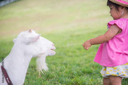 動物と遊ぶ子供