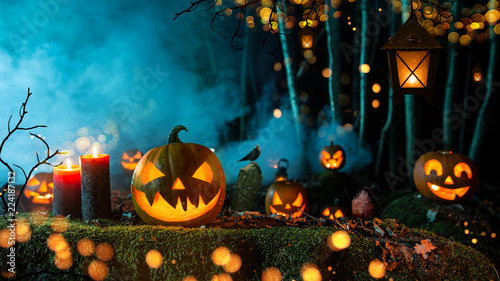 Halloween pumpkins on dark spooky forest. photo