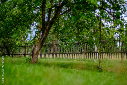old wooden fence in garden at countryside