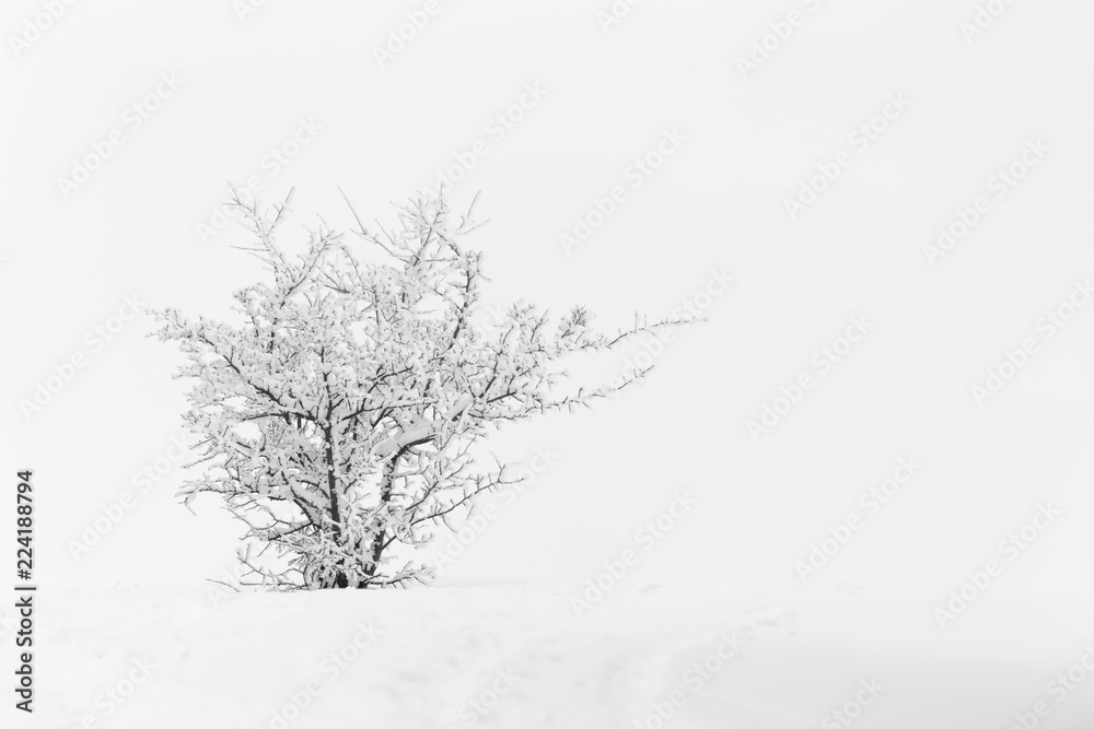 custom made wallpaper toronto digitalsnowy and foggy mountain