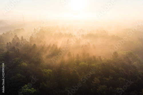 Morgennebel in den Baumkronen, Luftaufnahme, Teutoburgerwald, Deutschland