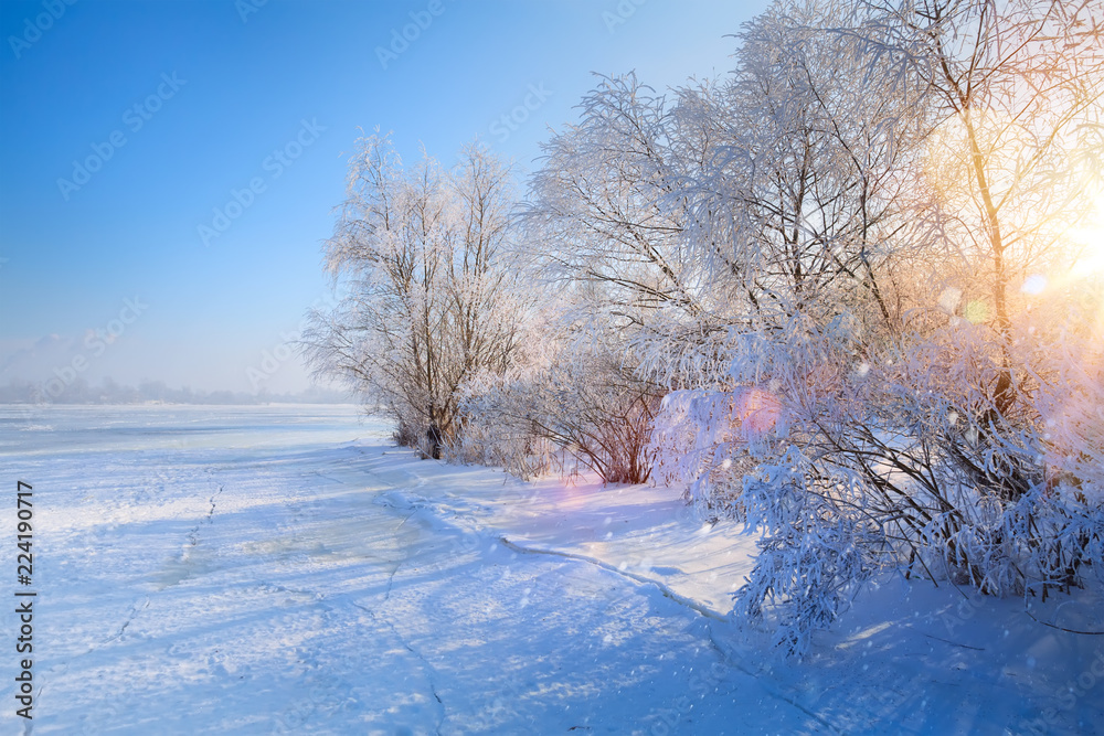 Fototapeta zimowy pejzaż z zamarzniętym jeziorem i ośnieżonymi drzewami