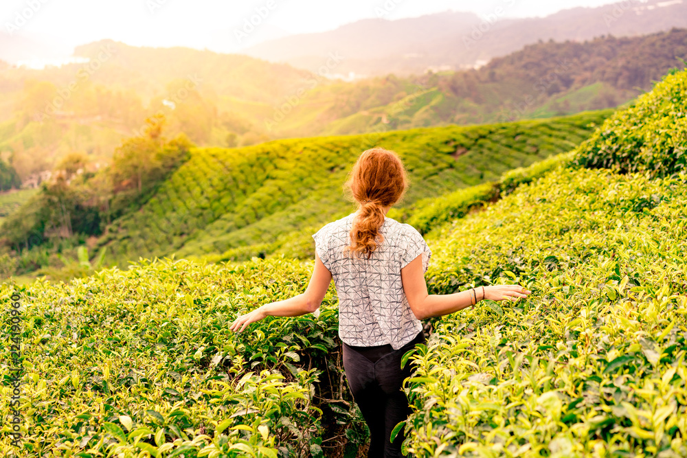 Caucasian girl in a tea plantation during the sunset Caucasian girl in a tea plantation during the sunset