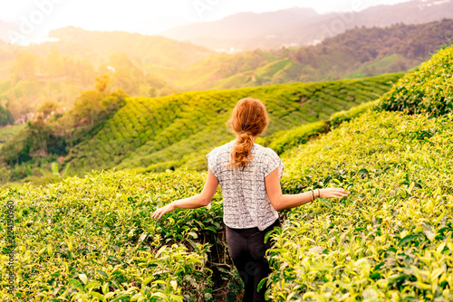 Caucasian girl in a tea plantation during the sunset