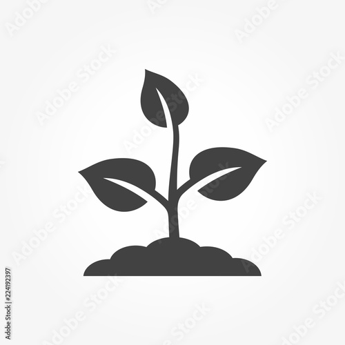 Plant vector icon