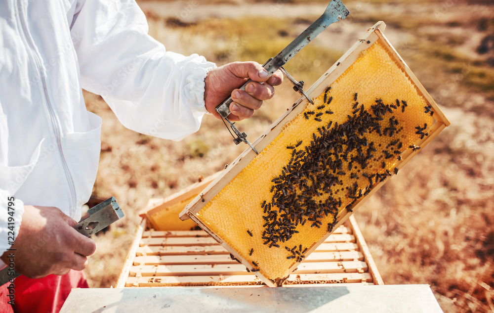 Beekeeper Beekeeper