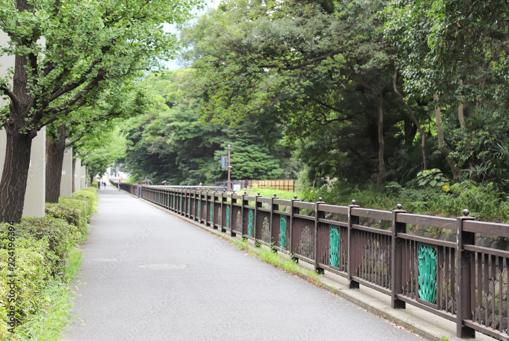 Scenery of walkway and metal fence with green natural background.