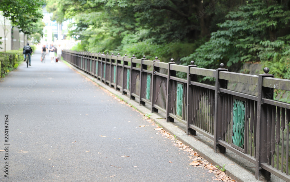 Scenery of walkway and metal fence with natural background.