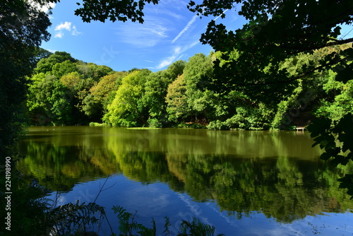 Waterworks Valley, Jersey, U.K.  Manmade reservoir at the start of Autumn on a calm day. © alagz