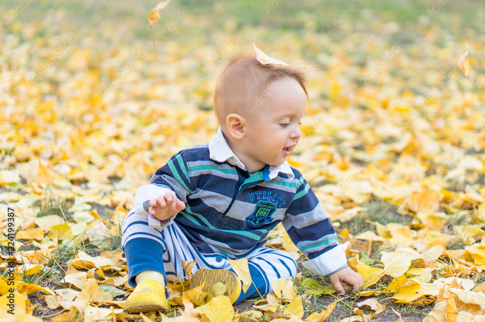 Little baby boy playing with yellow leaves in the park. Autumn.