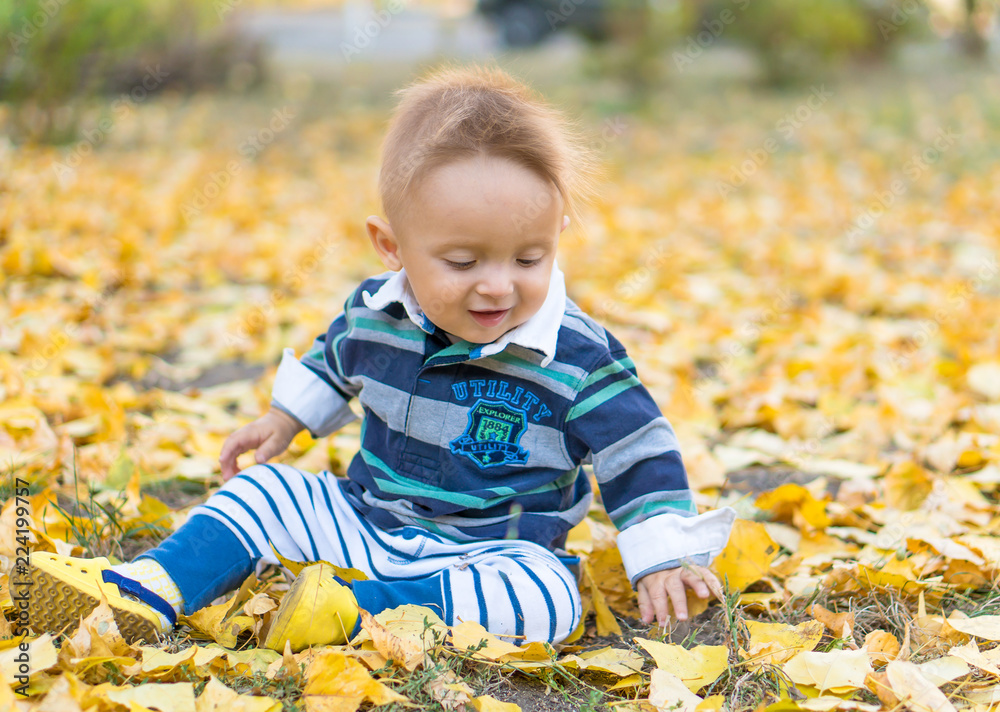 Little baby boy playing with yellow leaves in the park. Autumn. Little baby boy playing with yellow leaves in the park. Autumn.