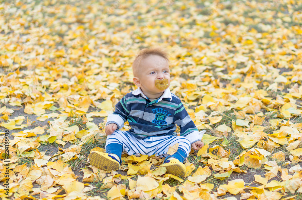 Little baby boy playing with yellow leaves in the park. Autumn. Little baby boy playing with yellow leaves in the park. Autumn.