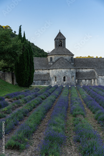 The famous Abbaye Notre-Dame de Sénanque with lavender field in the foreground, Provence, France